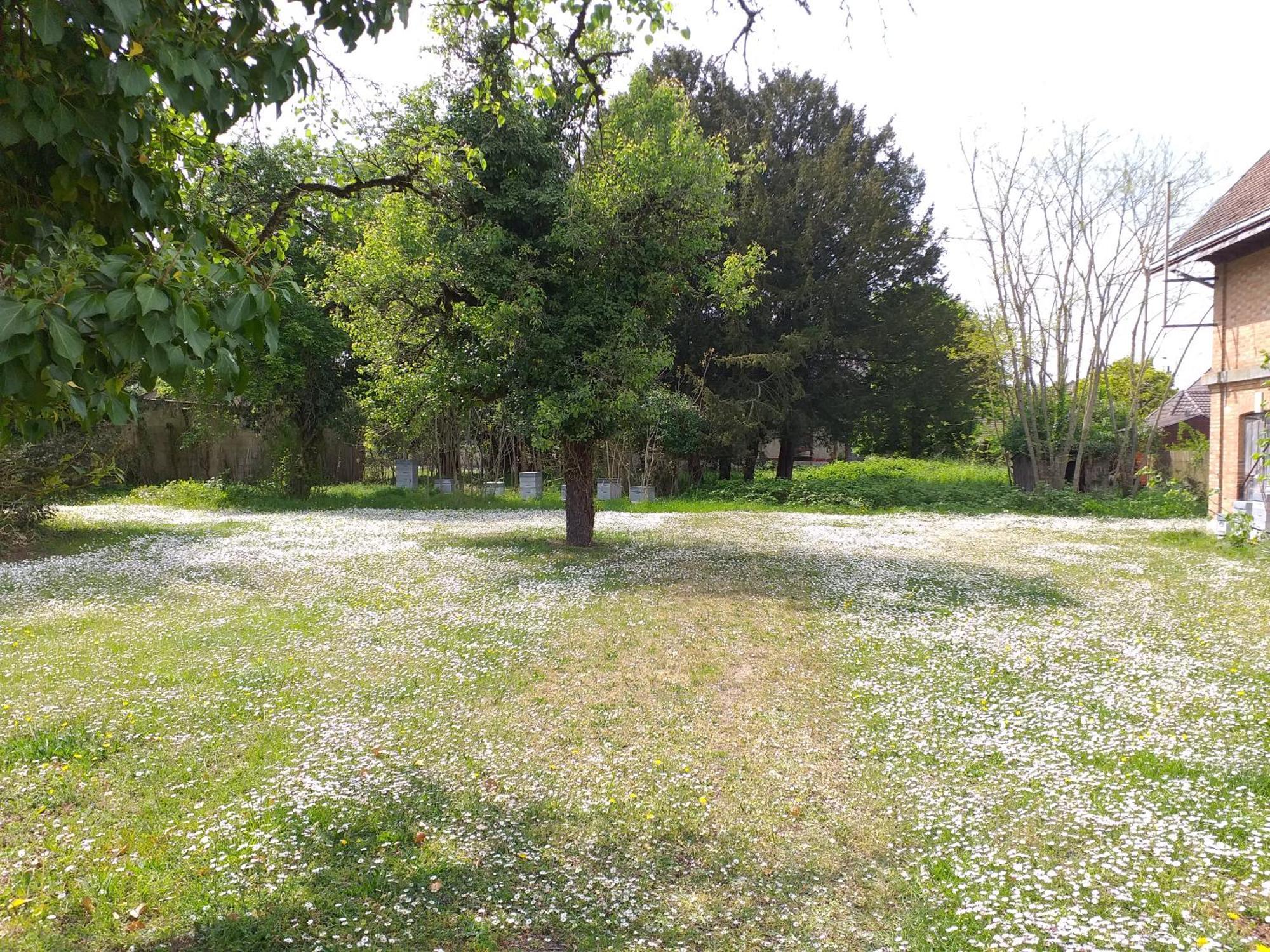 Charmante Maison Vitry-le-François Eksteriør bilde